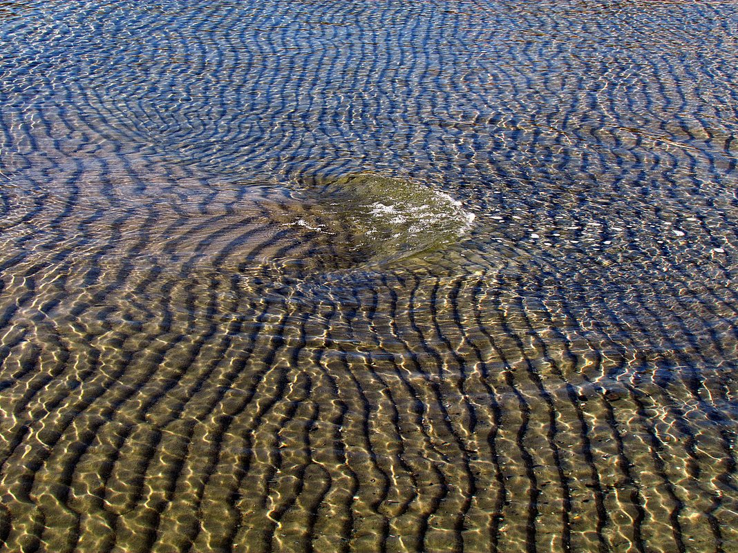 прогулки к морю - Александр Корчемный