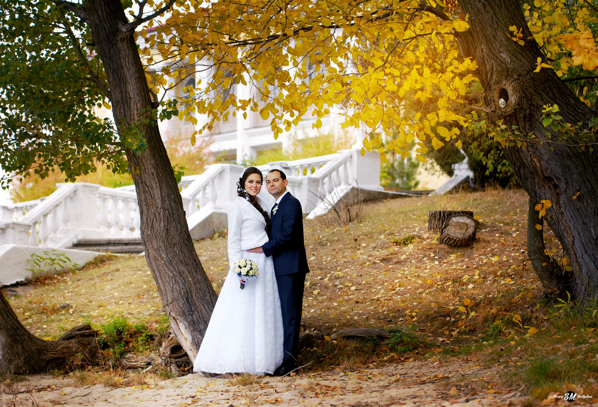 Weddings - сергей мартяков