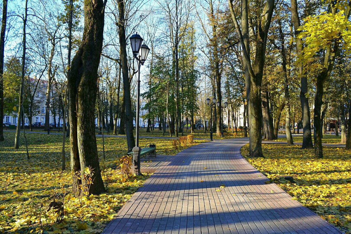 Осень в городе - Милешкин Владимир Алексеевич 