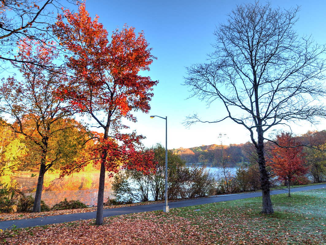 Autumn in NYC - Vadim Raskin