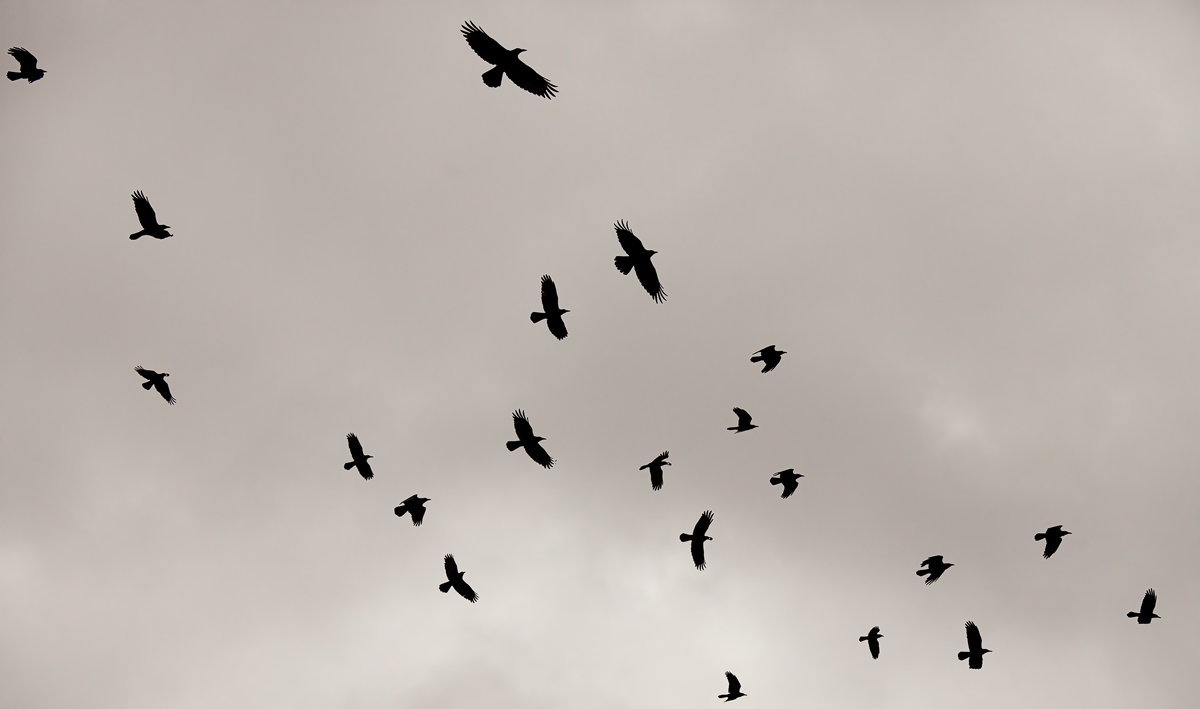 Каждому своё - Вячеслав Чик