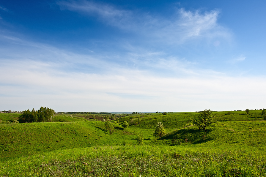 На просторах Родины - Анатолий Тимофеев На просторах Родины - Анатолий Тимофеев