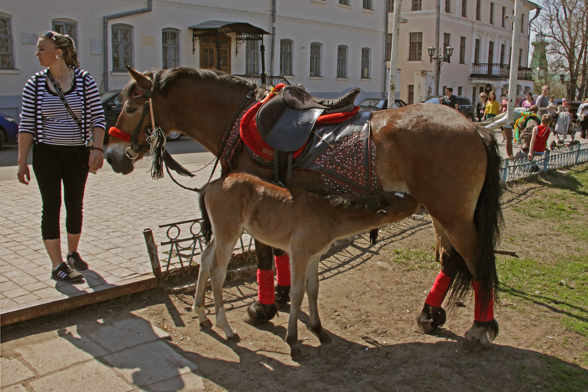 *** - Сергей Дабаев