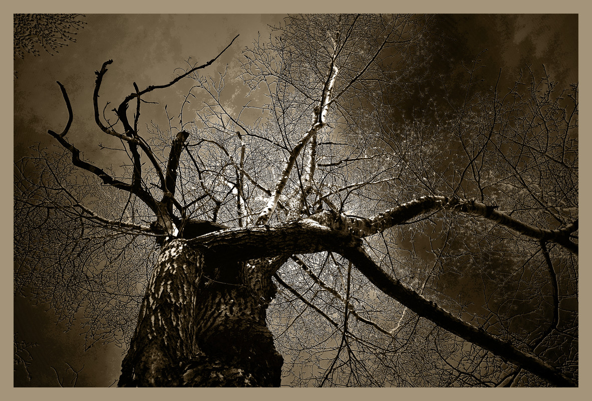 Фракталы - Павел Самарович