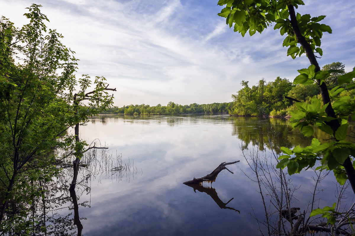 ### - Андрей Ожерельев ### - Андрей Ожерельев
