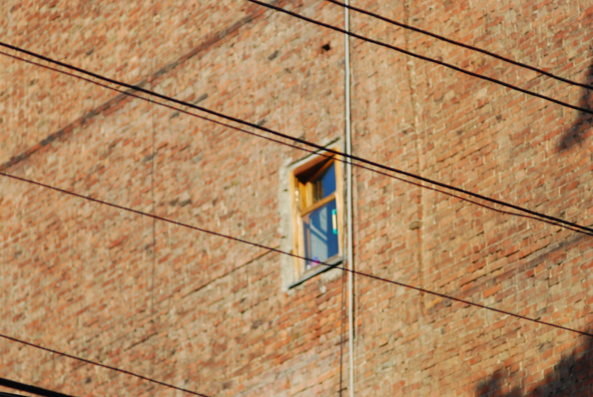 Window - Lisa Dobrohotova Window - Lisa Dobrohotova