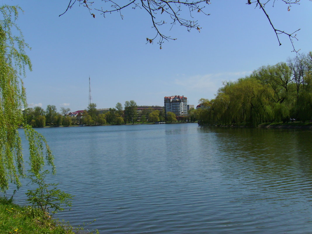 Городское  озеро  Ивано - Франковска - Андрей  Васильевич Коляскин