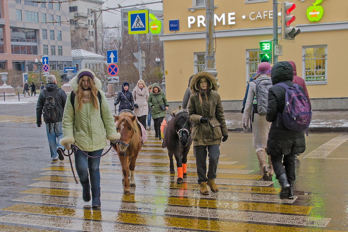 Кого только не встретишь на московском переходе... - Ирина Шарапова