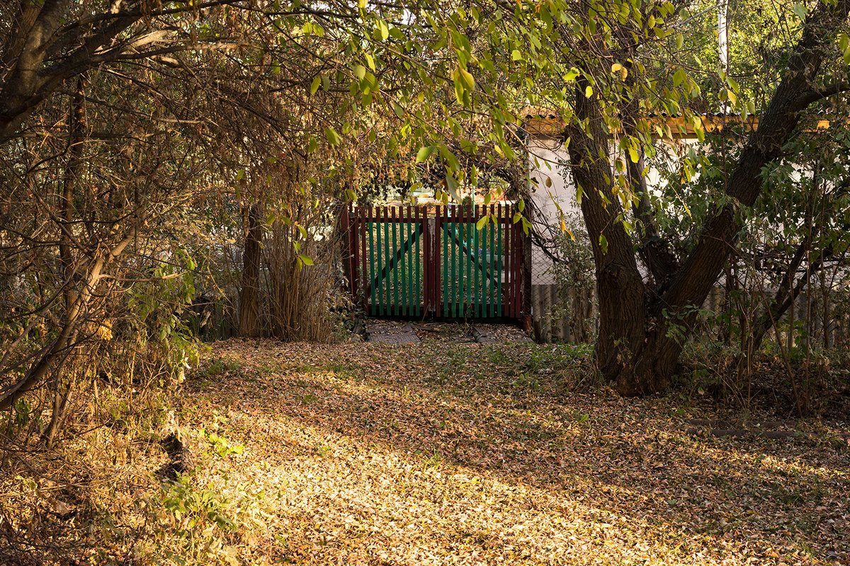 Прощание с дачей. - Ирина Остроухова