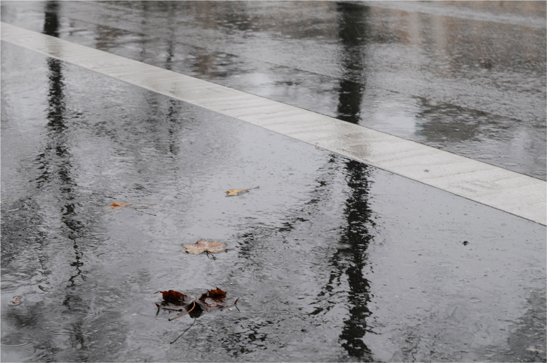 *** - Grigory Spivak