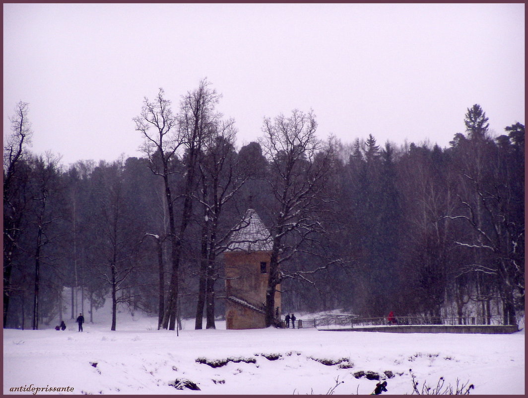 Павловск - vadim 