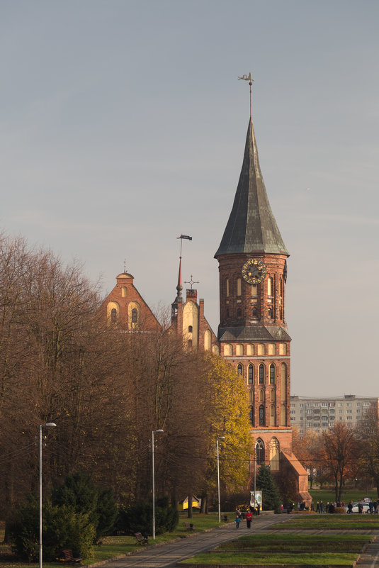 Кафедральный собор - Светлана 