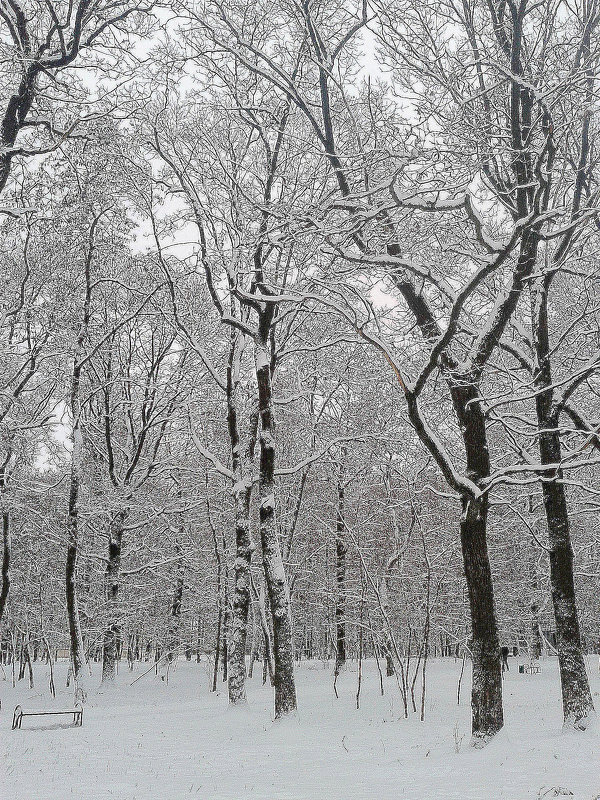 *** - Валентина Береснева