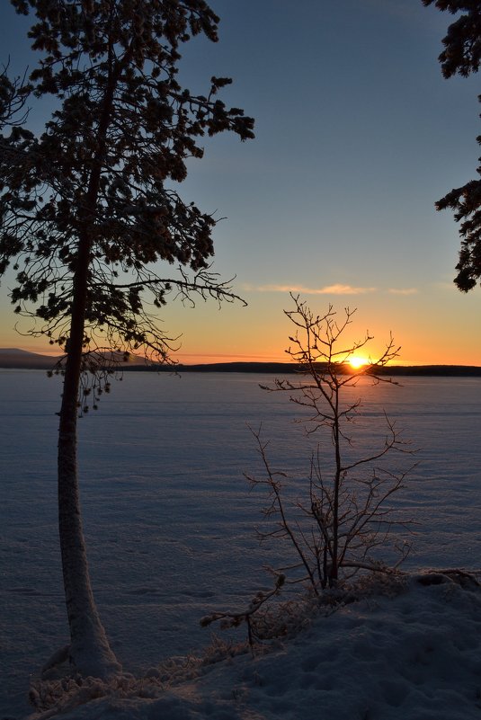 Прощальный луч - Ольга Прощальный луч - Ольга