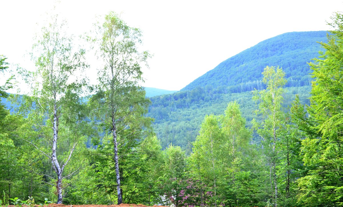 Карпаты - Ирина Тесцова