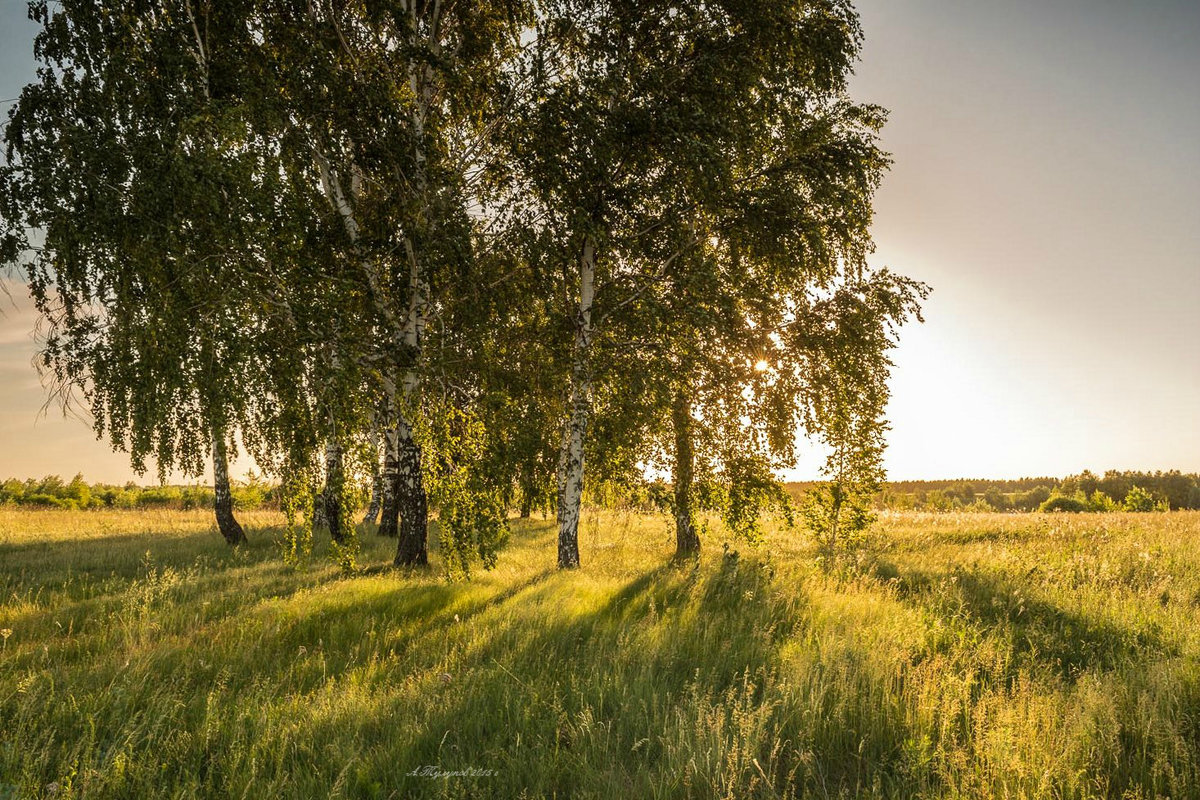 * - Александр Тулупов