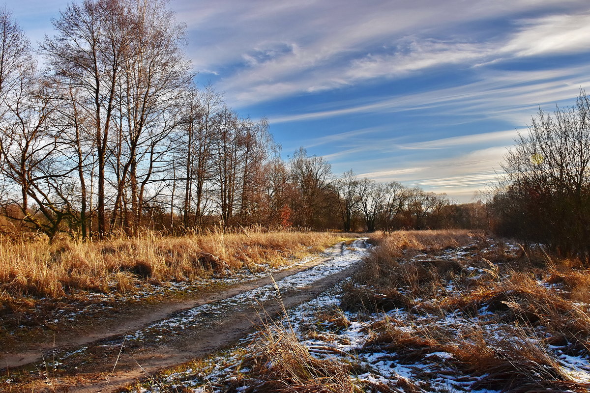 Полевая дорога. - Валера39 Василевский. Полевая дорога. - Валера39 Василевский.
