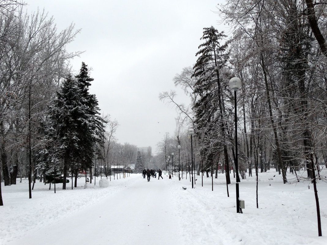 Декабрь в парке 2014... - Тамара (st.tamara)