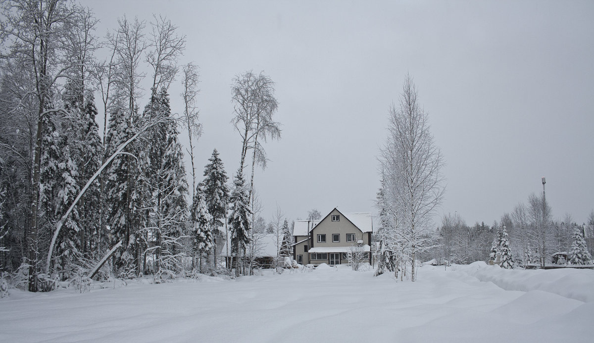Моя деревня - Вокуев Виктор 
