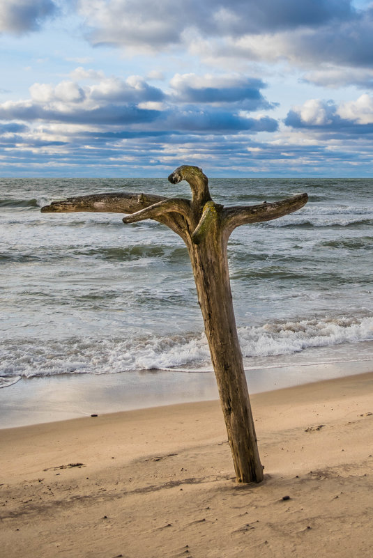 ***** - Лёха Дидус