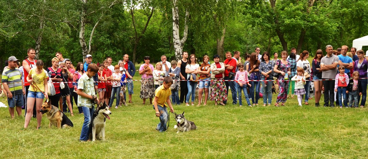 Юные кинологи - Владимир Болдырев
