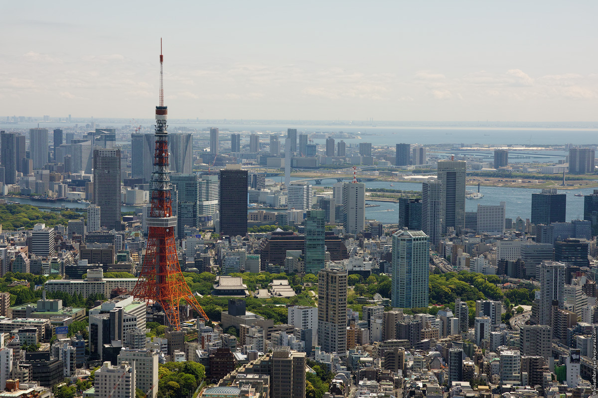 Tokyo - Sergei Khandrikov