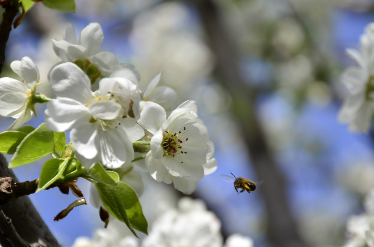 На подлете - Андрей Богданов