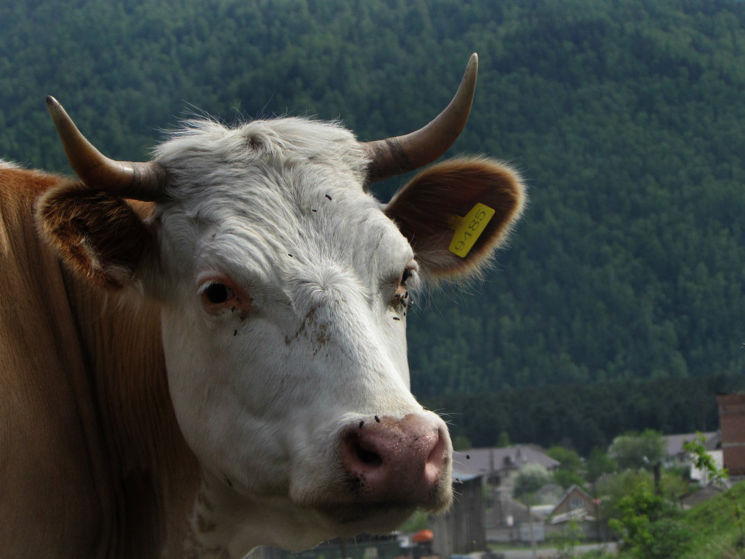 ... - Маша Логинова