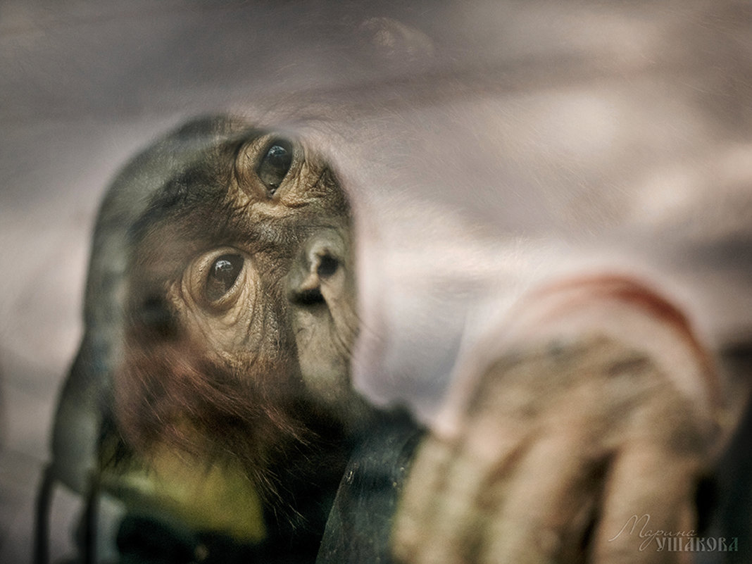 Взгляд - Марина_1975 - Взгляд - Марина_1975 -