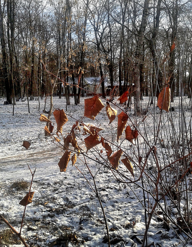 *** - Валентина Береснева