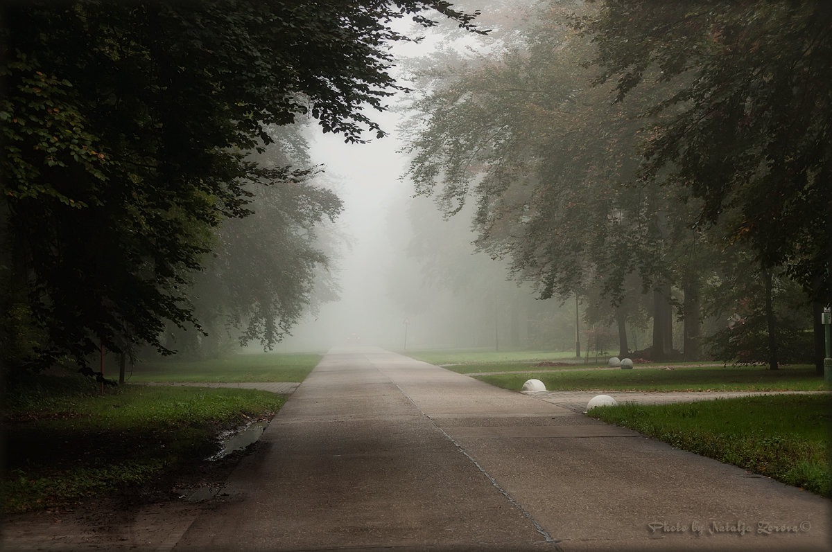 В неизвестность - Natalja Mertens-Zorova