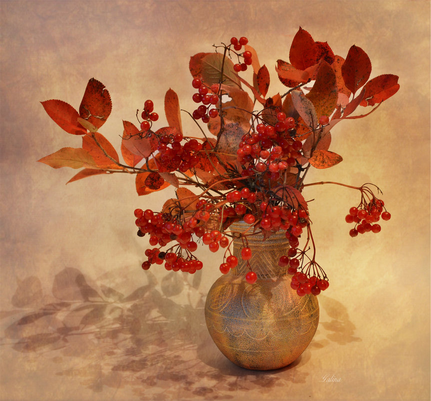 Калина - Галина Galyazlatotsvet Калина - Галина Galyazlatotsvet
