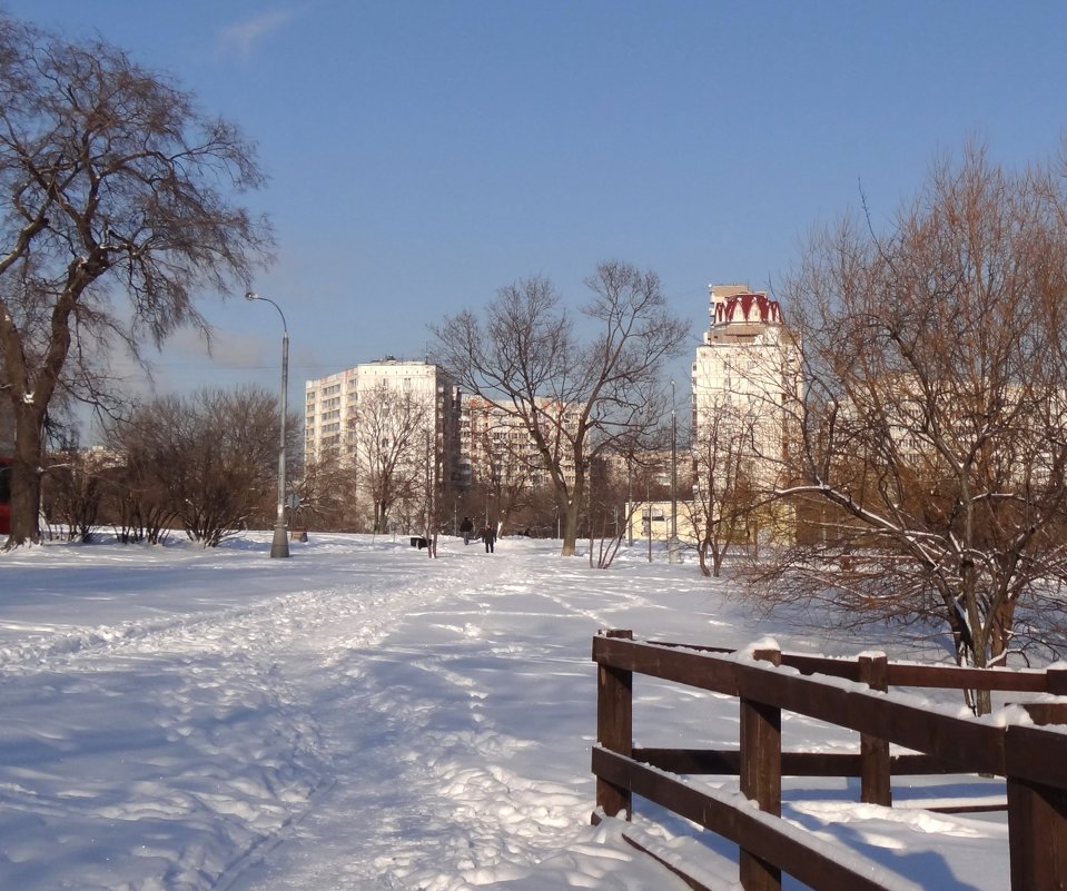 зима в Коломенском - Валентина. .