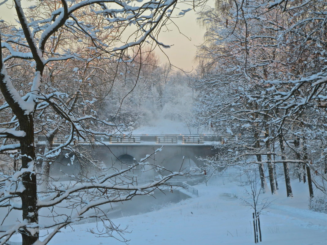 снежная пыль - Елена 