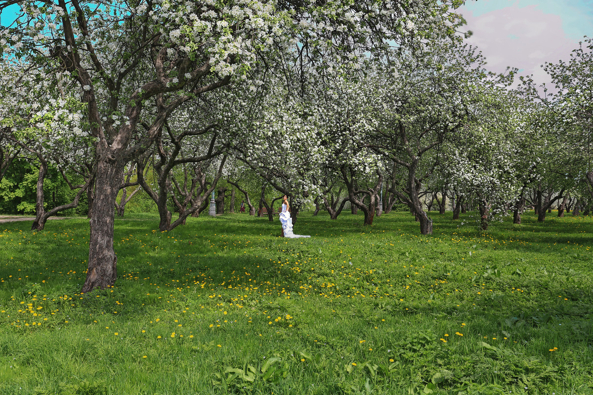 коломенское весна - юрий макаров коломенское весна - юрий макаров