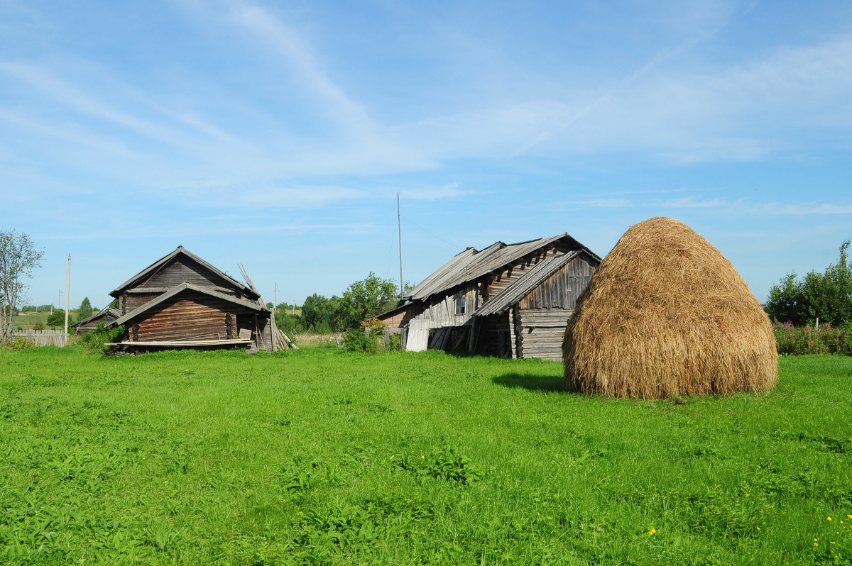 После сенокоса - Надежда Соколова После сенокоса - Надежда Соколова
