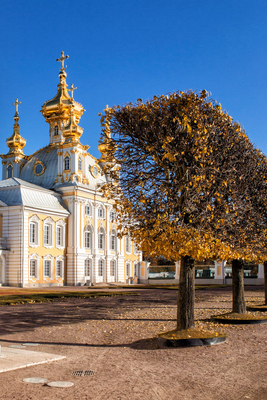 Верхний сад в Петергофе - Наталья Копылова