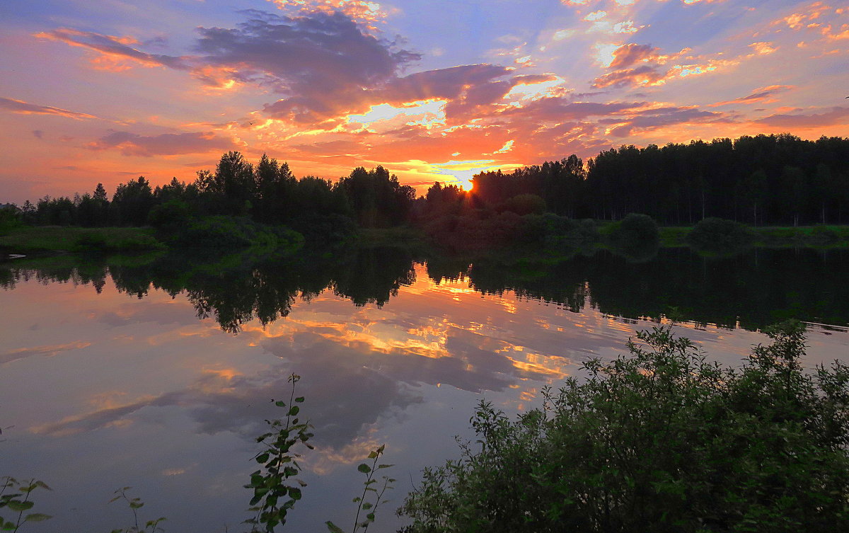 ... - Вячеслав Минаев ... - Вячеслав Минаев