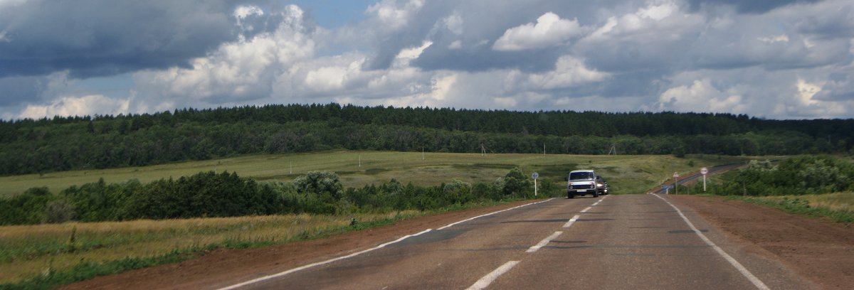 дорога в бор - Николай 