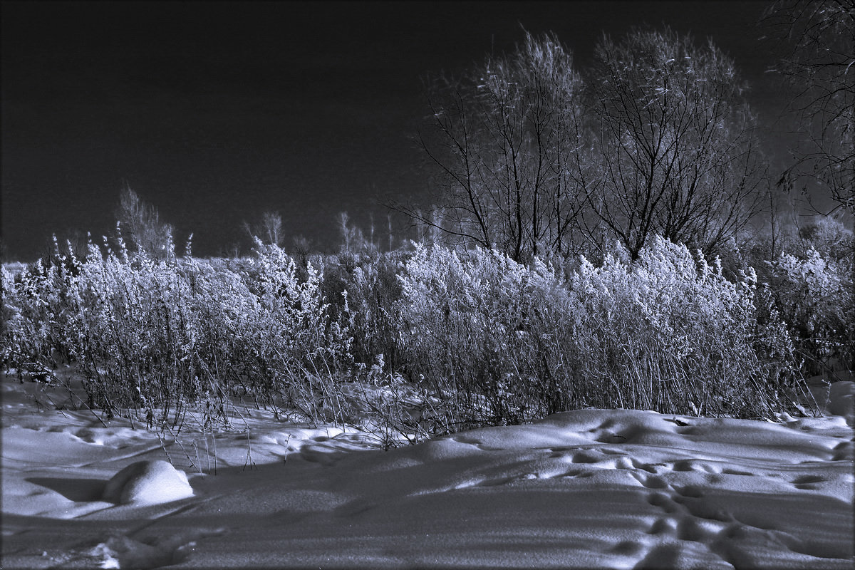 Следы на снегу - Виктор Четошников Следы на снегу - Виктор Четошников