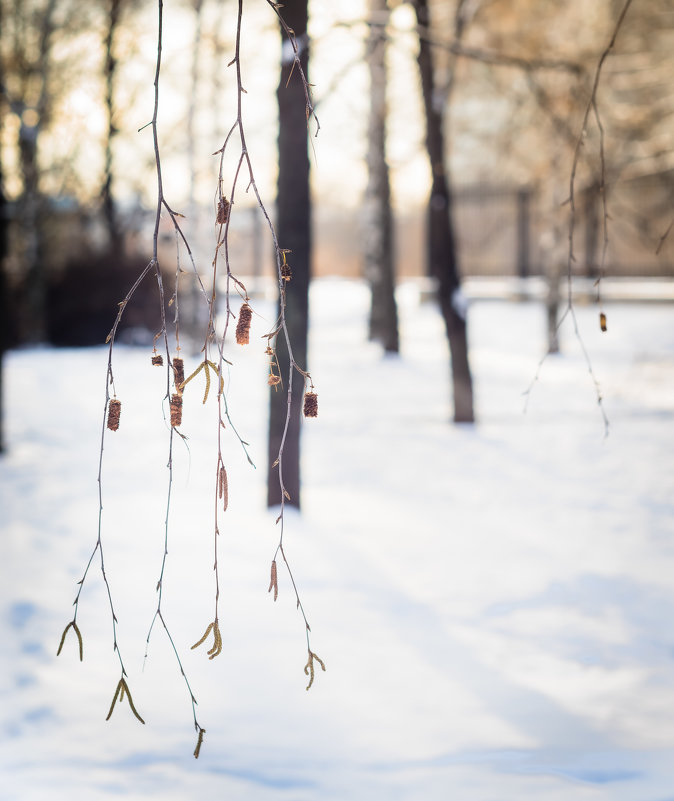 Про сережки... - Геннадий Комиссаров