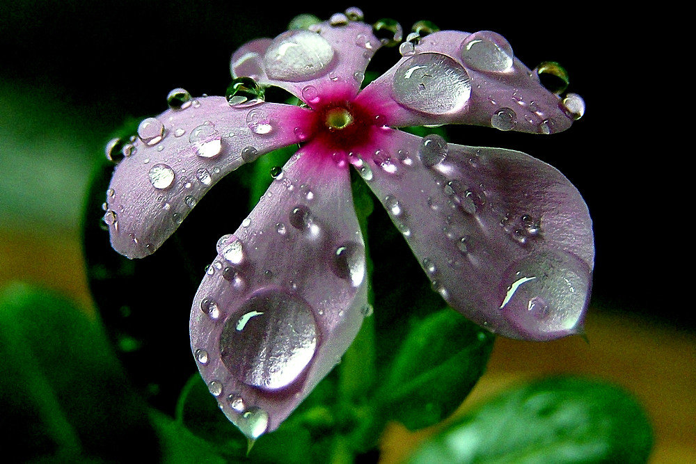 waterdrops - ~ Backstage ~ N.