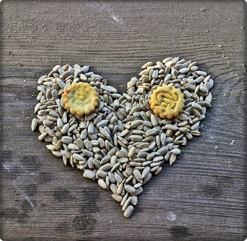 Дачным птичкам... - muh5257 