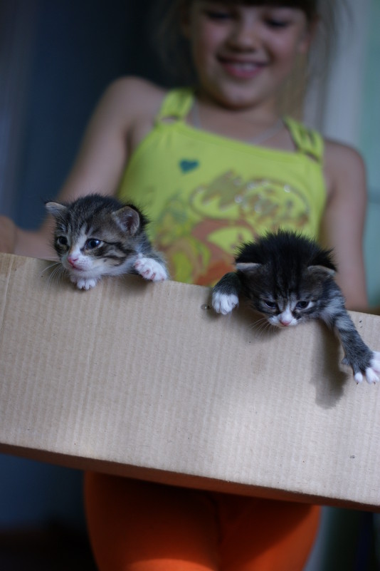 совсем еще маленькие! - Арина совсем еще маленькие! - Арина