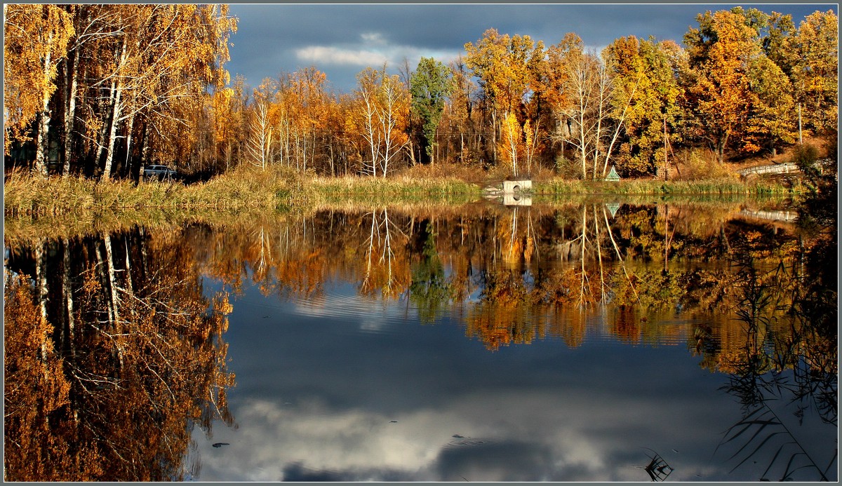 Золото кордона - Olenka 