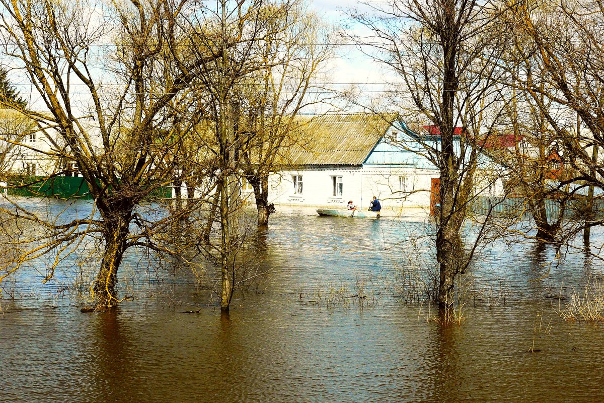 разлив р.Болвы в Брянске - Леонид Натапов