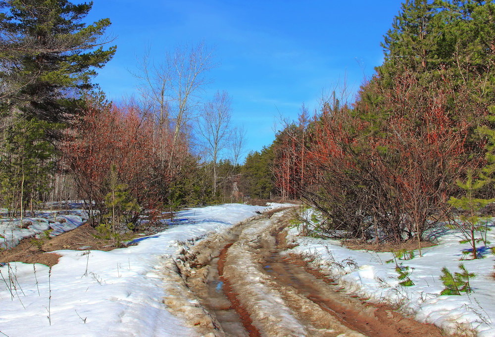 Пахнет снег оттаявшею глиной... - Лесо-Вед (Баранов) Пахнет снег оттаявшею глиной... - Лесо-Вед (Баранов)