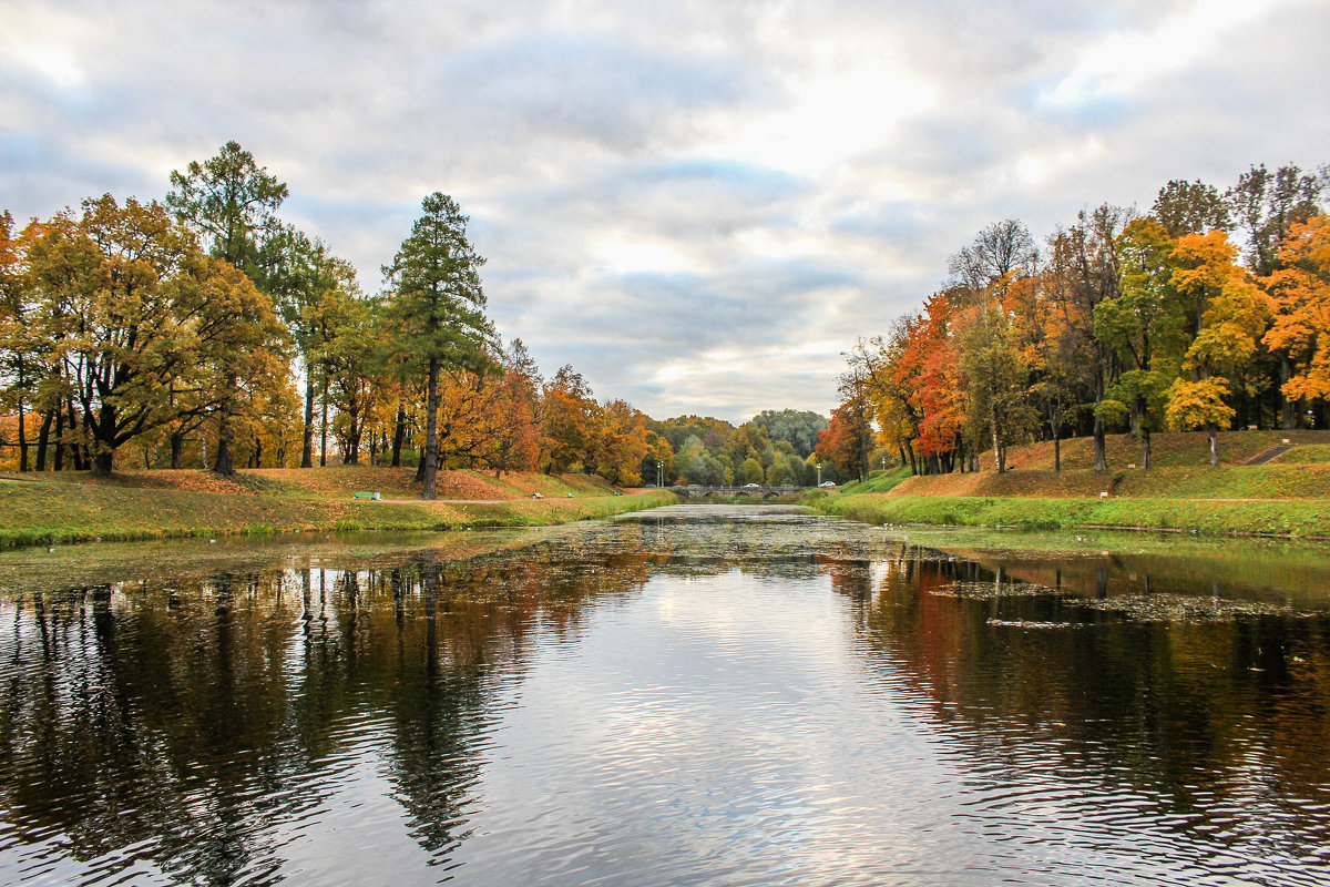 Осень - Алёнка Шапран
