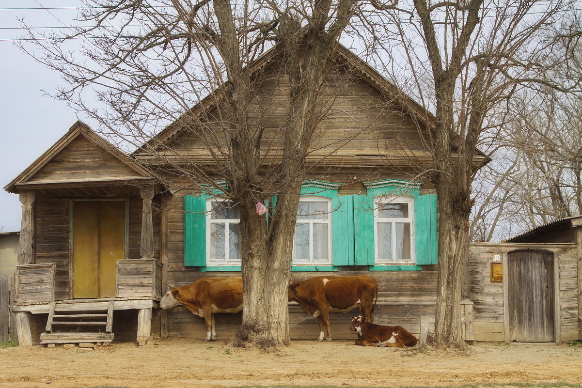 Селяне и селянки у дома своего... - M Marikfoto