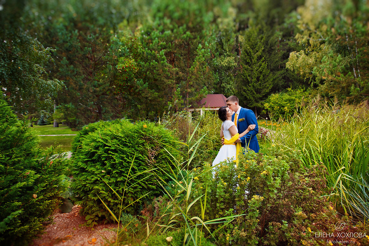 Эдем - Елена Хохлова